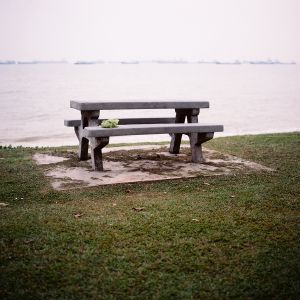 Green shirt on a bench