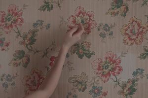 the flowers will bloom another year© Cristina Coral
