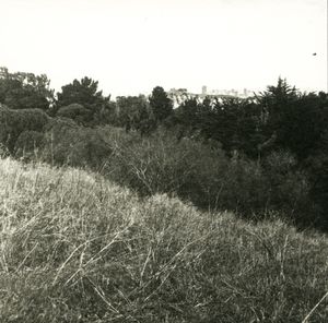 Bernal In The Distance © Erin Malone