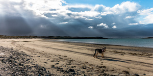 beach