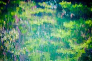 Sounds of silence/Monet and two people   トータルのタイトルはSounds of silenceです。これらの写真は水に映った風景です。つまり、水鏡の写真を逆転して提示したものです。私はこれらのシリーズ写真を撮影する上で、光と影そして、水に映る瞬間と水の流れによるものをカメラという機械装置でその時間（シャッタースピード）で描く絵を表現しています。つまり、私は、自然風景を、自然の川や湖などの水を見てその光と影で絵を描いていると言いたいのです。それは、写真的であり、また、photoであると言いたいのです。