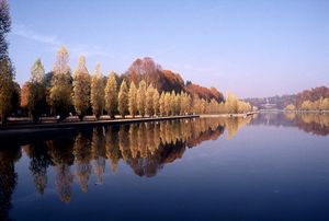 Automne au parc de Sceaux