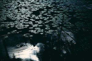 Deep Inside III #8