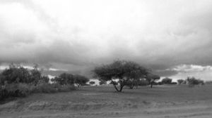 Before The Rains #6