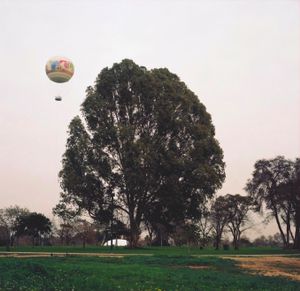 Tree and Balloon