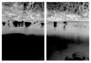 Dissociated #25
