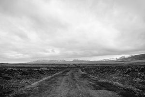 THE WASTE LAND BLUES