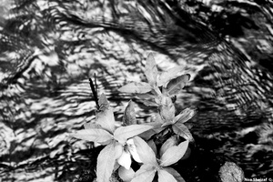 A day by the river 14