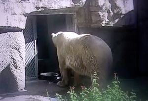 CAPTIVITY