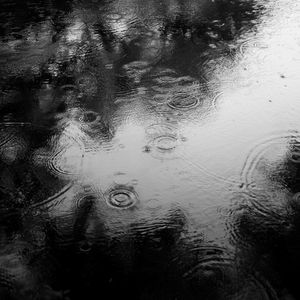 Sweet Surrender © Abbey Box