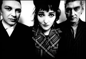 Siouxsie & The Banshees