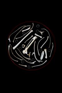 The circle