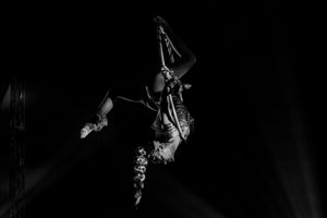 Aerial Art - Elegance - Lucioza