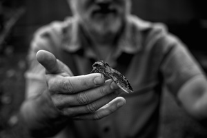 Moth Whisperer