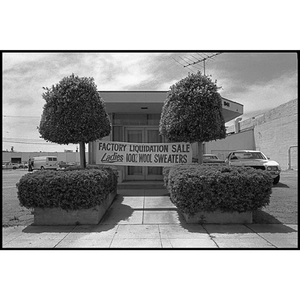 'Sweater Sale' 1978