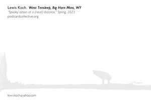 "Spooky action at a (near) distance," Spring 2023-back.