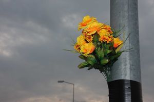 Fiori recisi