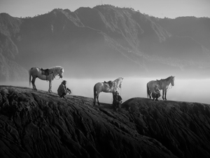 The Horsemen