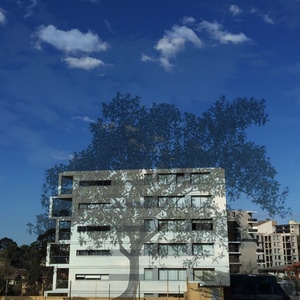 Shadow of its Former Self