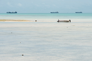 Impact of overfishing #21