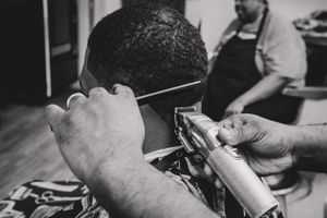Fresh cut