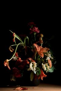 © Kathryn Jago