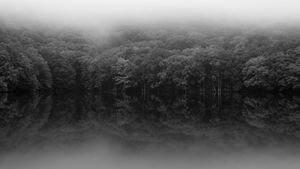 Foggy morning
