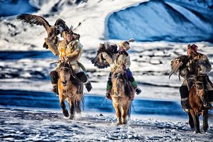 Eagle Hunter Family CO097