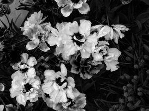 I must have flowers #10