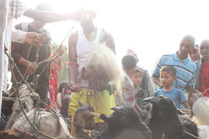Blind Faith