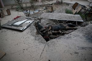 fallujah in war
