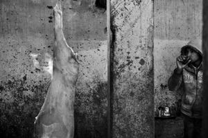 Slaughterhouse