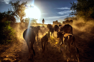 Climate Change in South Rift