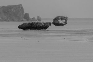 Drizzling Bay-05