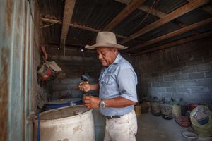 Toribio´s heritage