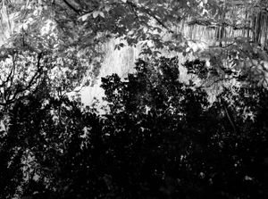 Reflections II