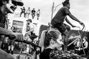 Bike Kill 19