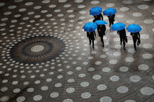 Blue umbrella collection