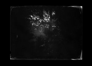 Camera Obscura (2004)