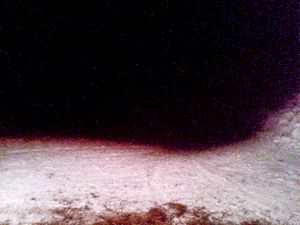 Once upon a night in a deer forest is an experimental project using a low resolution Mr. Lee catcam.