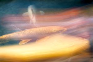 Fleeing
