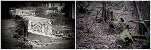 radici _ roots