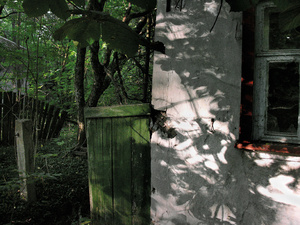 TRACES-TCHERNOBYL