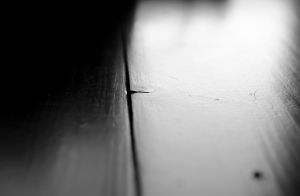 Hide 10 © Anastasia Davis