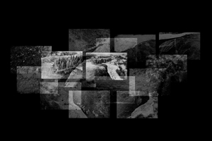 Lakeshore Operations | Fading Series