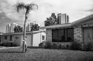 Palm Tree Hug