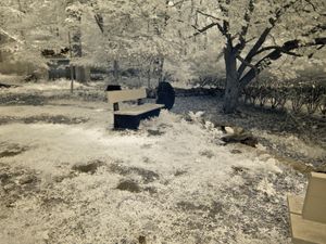© Mildred Alpern