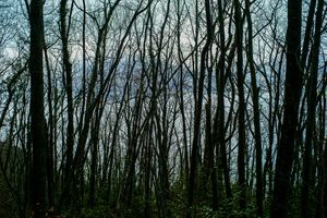 sans titre #4