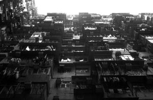 "Hong Kong"