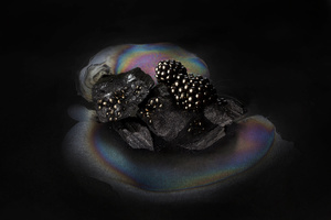 The Black Gold, Consumerism 2015
